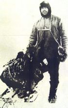 南极大陆